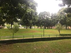 Blk 109 Hougang Avenue 1 (Hougang), HDB 3 Rooms #594076631